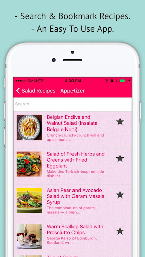 Salad Recipes - Offline Recipe Screen 2