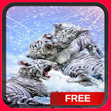 White Snow Tigers Live Wallpaper Theme icon