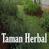 Herbal garden icon