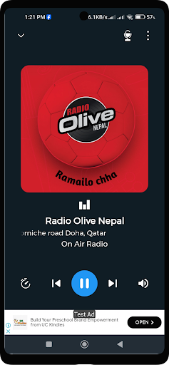 Nepali Radio : Hamro Radio Screen 3