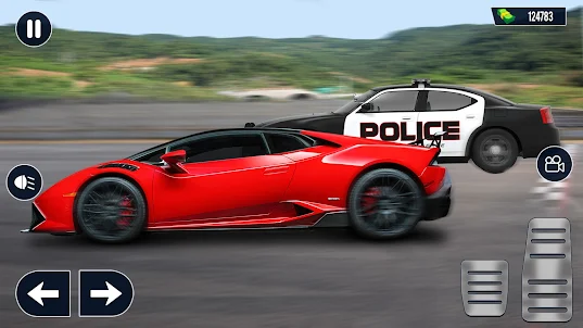 Police Car Chase Thief Cop 3D