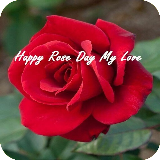 Happy Rose Day Quotes Images logo