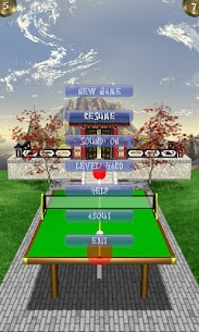 Zen Table Tennis Lite For PC installation