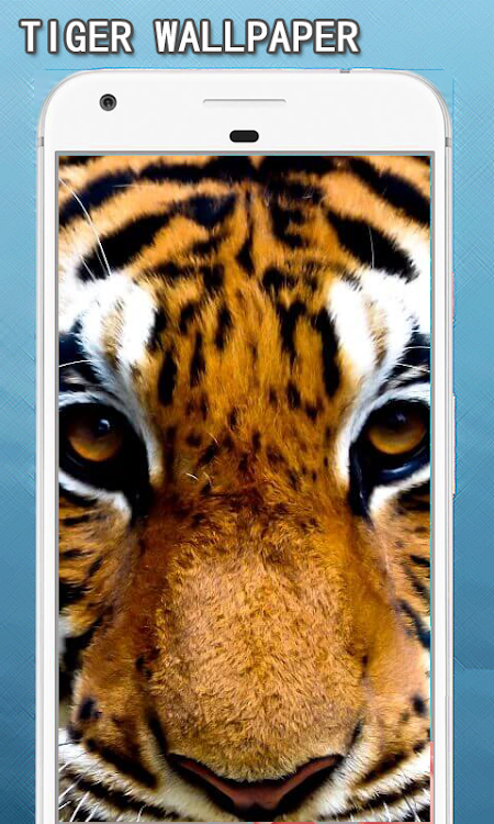 Tiger Wallpapers Hd - 5.0 - (Android)