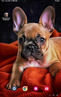 SDS Cute Fuzz Wallpapers