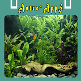 Aquarium Decoration Ideas icon
