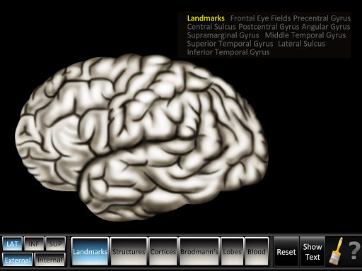 Cerebrum ID Screen 2