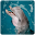 Dolphin photos Frames