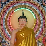 Buddha Quotes icon