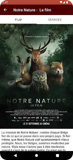 Ciné Couvin Screen 2