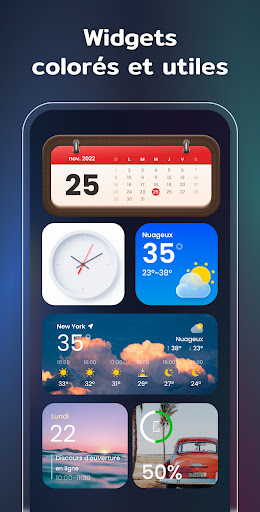 Widgets et Thèmes : iWidgets Screenshot