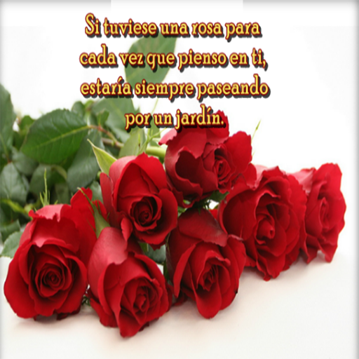 Ramos de Rosas con Poemas Screen 2