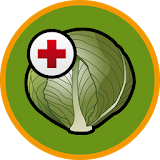 Brassica diseases icon