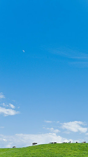 Android application wallpaper awan aesthetic screenshort