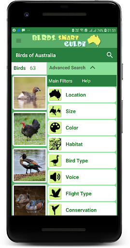 Australia Birds ID - Demo Screen 3