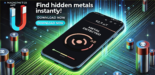 Metal Detector - Magnetometer