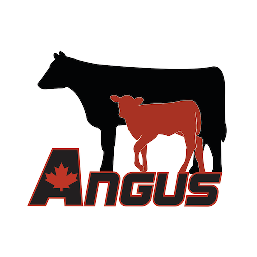 Canadian Angus Calving App logo