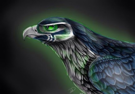 Wallpapers for Seattle Seahawk APK (Android App) – Download 2