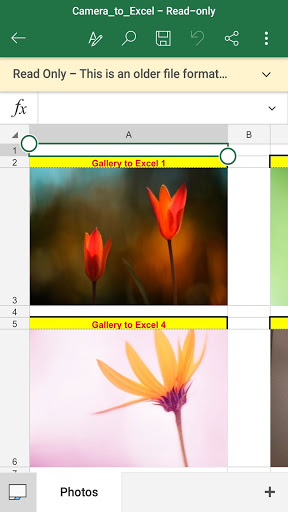 Camera to Excel Converter