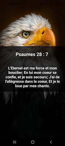 Recueil SCT Screen 2