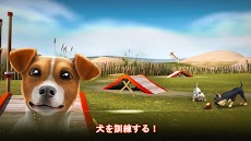 DogHotel – 犬たちと遊びながら、ホテルを経営しようのおすすめ画像4