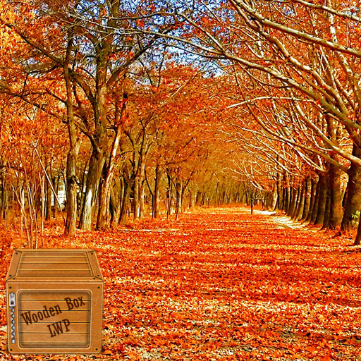autumn forest wallpaper logo