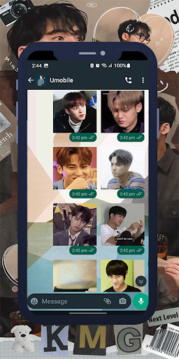 Mingyu Animated WASticker Screen 3