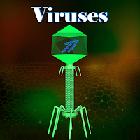 Learn Viruses