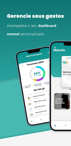 Kemel Flex Screen 2
