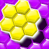 Hexa Puzzle Block Master Games icon