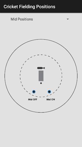 Cricket Fielding Positions