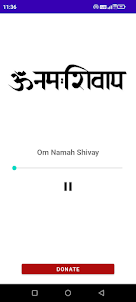 Om Namah Shivay 108