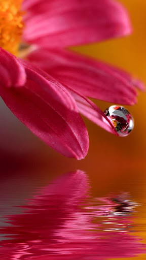 Water Drop Screen 2