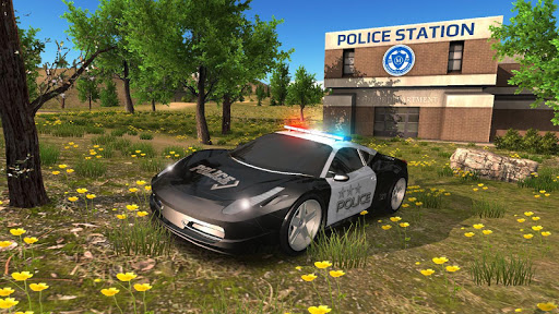 Police Car Driving Offroad