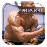 Tips To Get Big Muscles icon