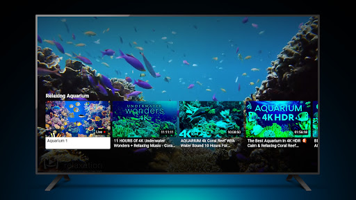 Screenshot of Aquariums TV