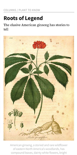 Horticulture Magazine Screen 2