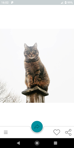 Android application Cat-a-log screenshort