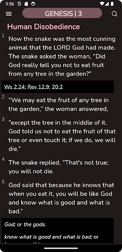 Good News Gospel Bible Screen 3