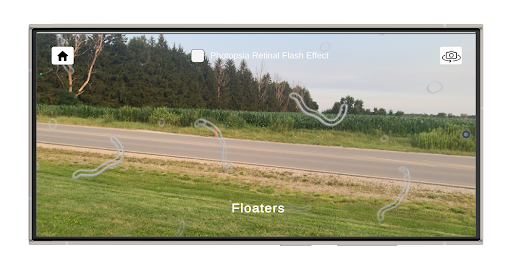 See How They See Screen 3