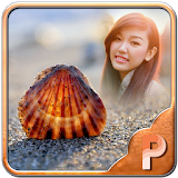 Seashell Photo Frames icon