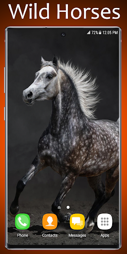 Android application Wild Horses Live Wallpaper screenshort