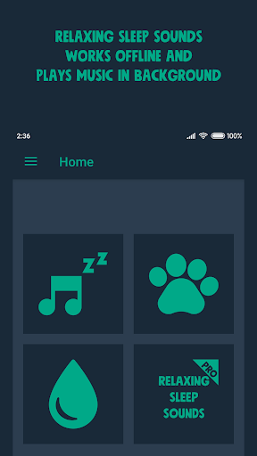 Relaxing Sleep Sounds Screen 2