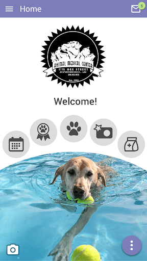 Android application AMC of Jonesboro screenshort