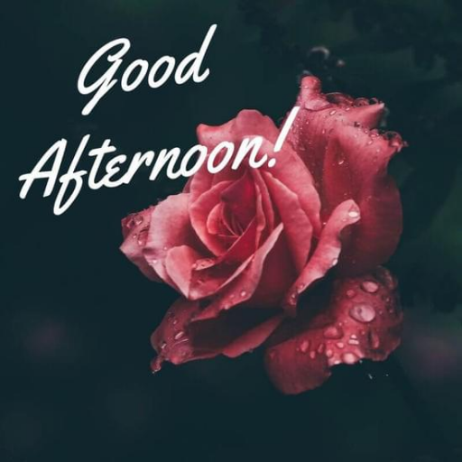 Good Afternoon Images Download on Windows