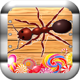 ANT SMASHER DX (simple & easy) icon