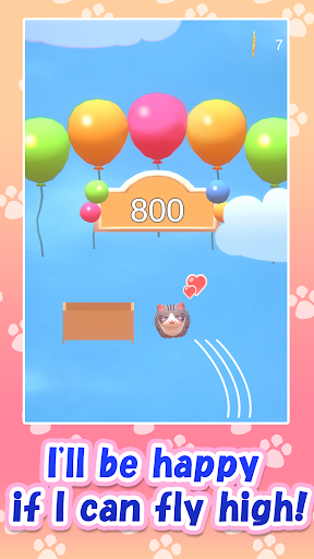 Android application Aerial Cat screenshort