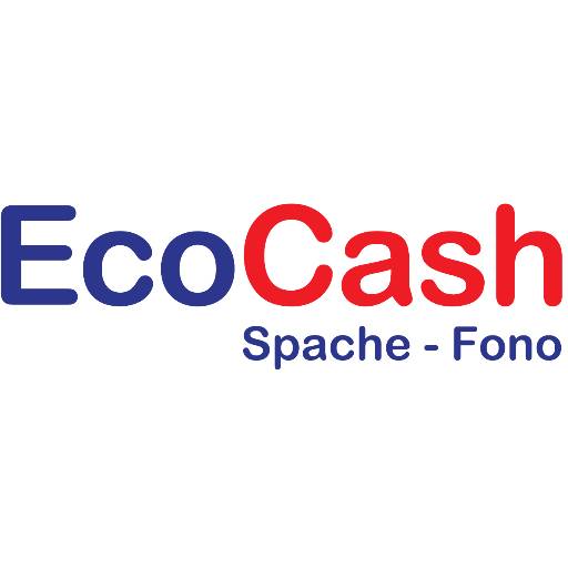 EcoCash App LS - Beta Download on Windows