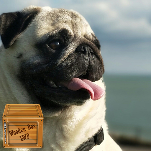 pug dog wallpaper logo