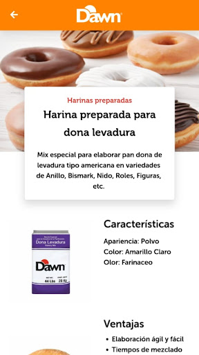 Dawn LATAM Screen 3